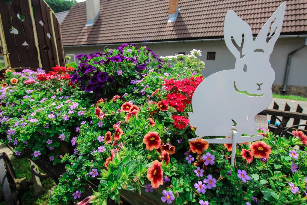 Penzion Stary Hostinec Banská Štiavnica Dış mekan fotoğraf